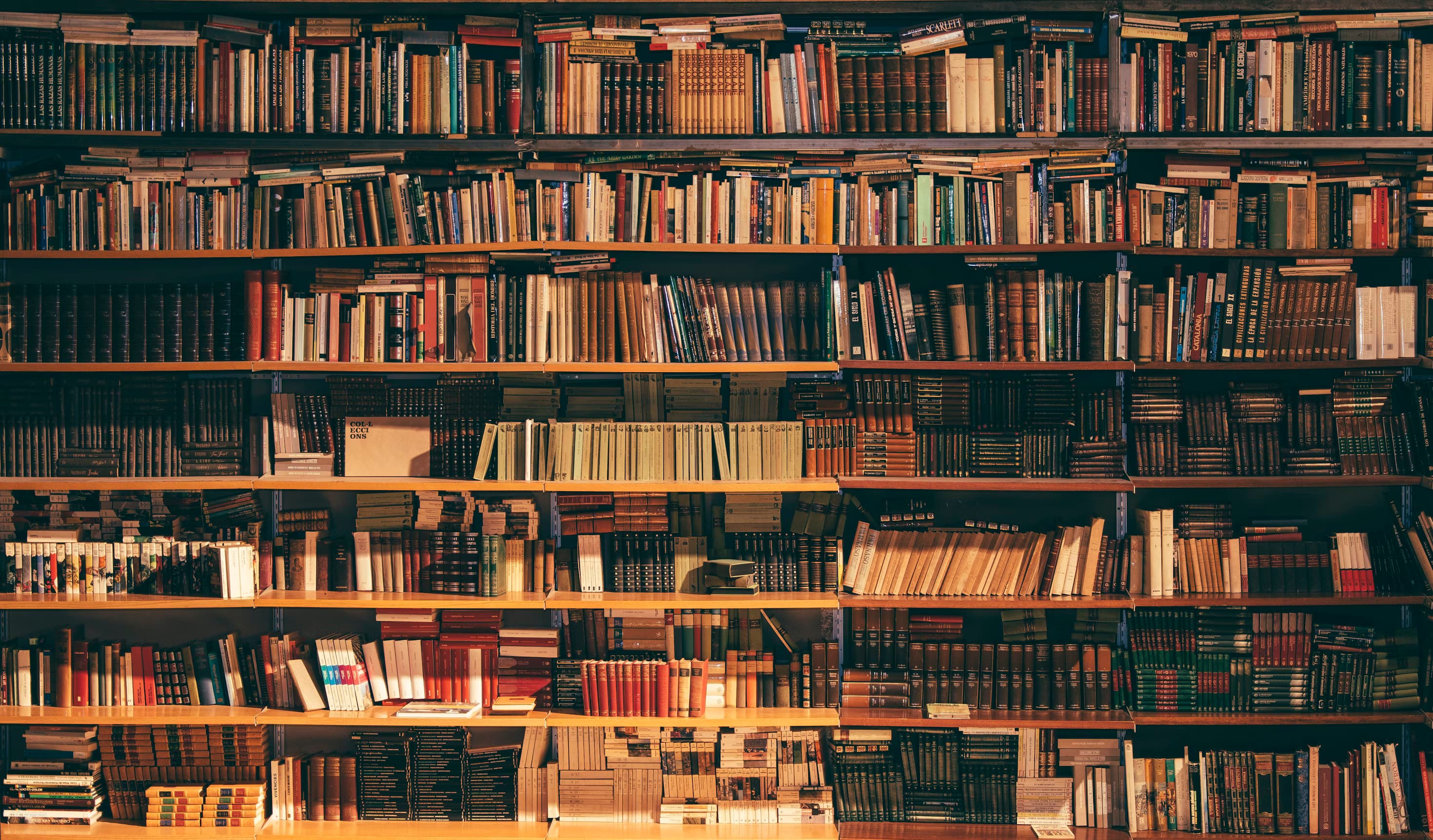 Books on a shelf